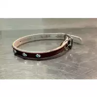 cane - Matr. 2023/2154 - Microchip 380260044998206