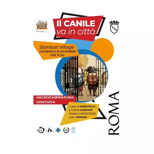 Content Invito a tutti i cittadini romani!